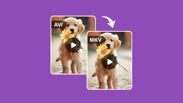 6 façons faciles de convertir AVI en MKV via 6 convertisseurs AVI MKV