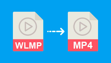 Convertir WLMP en MP4