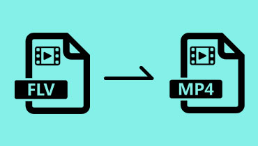 3 façons pratiques pour convertir un fichier FLV en MP4