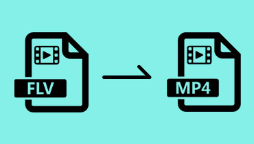 Convertir FLV en MP4