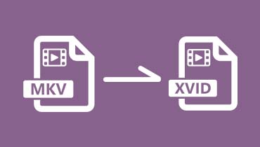 Comment convertir MKV en Xvid sur bureau et en ligne