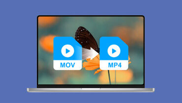 Convertir MOV en MP4