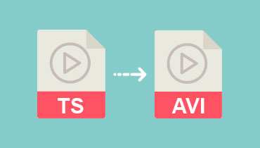 2 façons simples pour convertir une vidéo TS en AVI