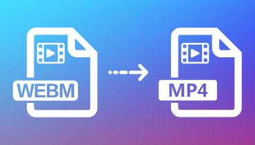 Résolu - 3 façons simples de convertir WebM en MP4
