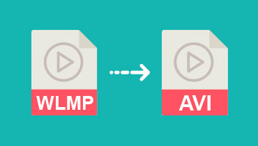 2 façons simples pour convertir WLMP en AVI sur Windows et Mac