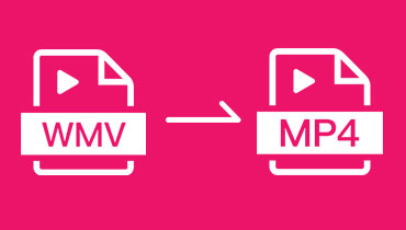 3 façons efficaces de convertir WMV en MP4 sur Windows et Mac