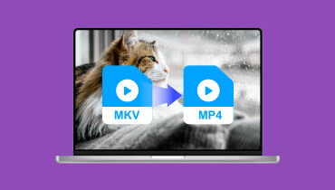 Convertisseur MKV en MP4 en ligne