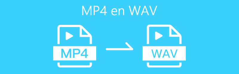 MP4 en WAV