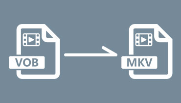 Comment convertir VOB en MKV sans perte sur Windows/Mac