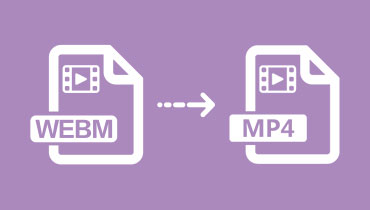 Convertir WebM en MP4