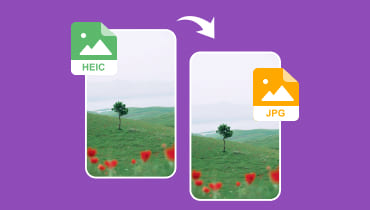 Comment convertir HEIC en JPG en ligne ou hors ligne facilement