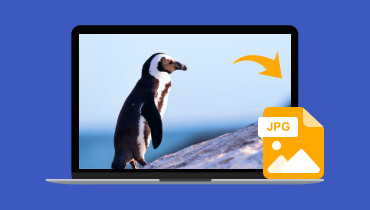 Convertir une image en JPEG : 4 bonnes façons de faire