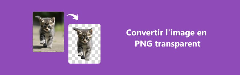 Convertir une image en PNG transparent
