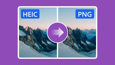 Comment ouvrir le fichier HEIC et convertir HEIC en PNG facilement