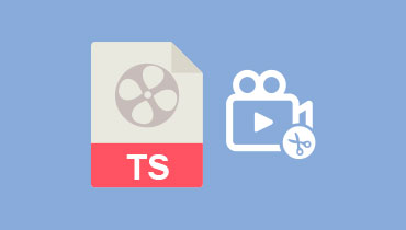 3 façons pratiques de couper une vidéo TS sur Windows et Mac