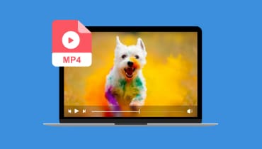 Comment incruster des sous-titres dans une vidéo MP4 gratuitement
