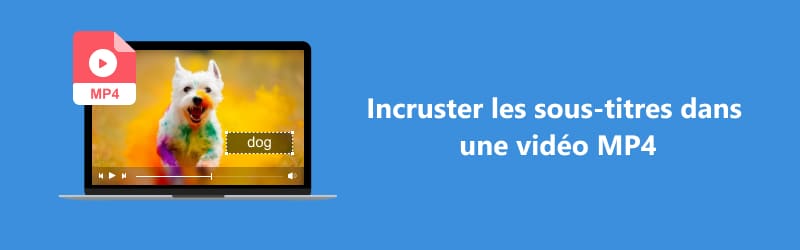 Incruster les sous-titres dans une vidéo MP4