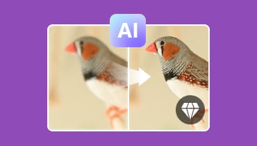 Top 5 des AI photo enhancer en ligne et hors ligne sur Windows et Mac