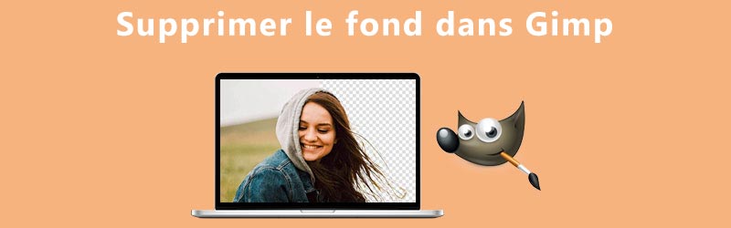 Supprimer un fond dans Gimp