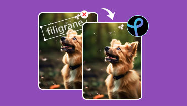 Suppresseur de filigrane : Comment supprimer le filigrane avec Pixlr