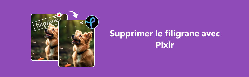 Supprimer le filigrane avec Pixlr