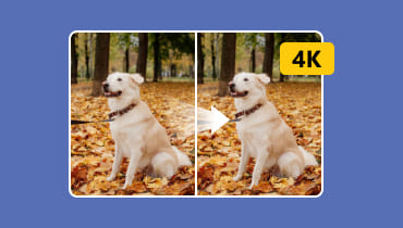Les 5 meilleurs outils pour rendre une image en 4K sur PC facilement