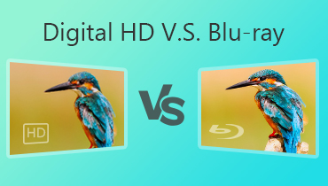 Digital HD VS Blu-ray, lequel est le meilleur choix pour vous