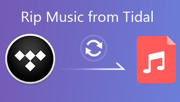 2 méthodes efficaces pour extraire des fichiers musicaux de Tidal