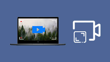 Top 3 des logiciels de capture vidéo et audio sur Windows et Mac