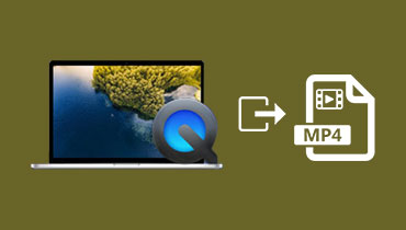 Les Méthodes de travail 100% pour exporter MP4 dans QuickTime Player
