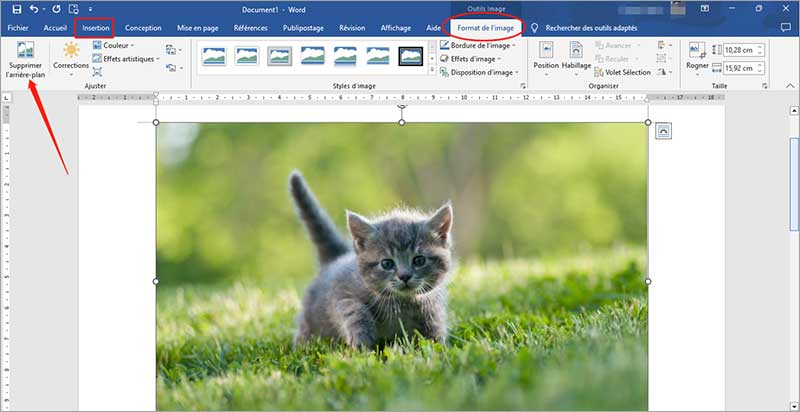 Insérer l'image dans un document Word