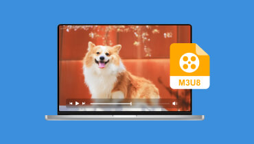 Les 6 meilleures M3U8 Player gratuits et pratiques sur Windows et Mac
