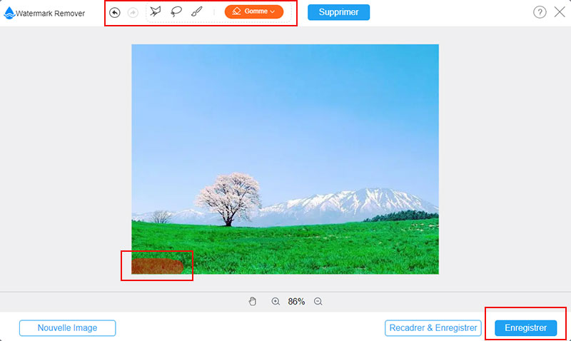 Enlever la date sur une photo avec Vidmore Watermark Remover Gratuit en Ligne